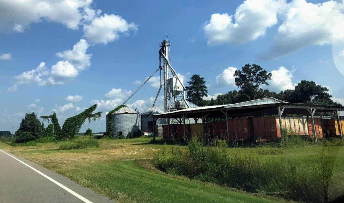 Farm by the road in eastern North Carolina. Molly Osborne/EdNC